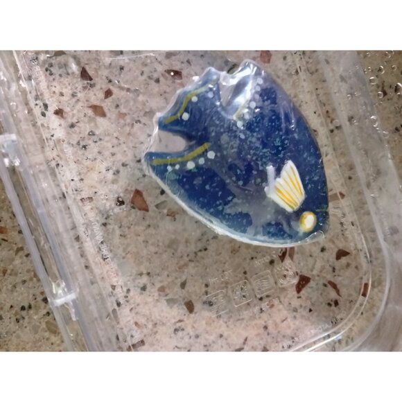 Floating Candles Tropical Fish Shaped Ocean Tropical Beach Pool Party Lot 12 - Picture 8 of 8